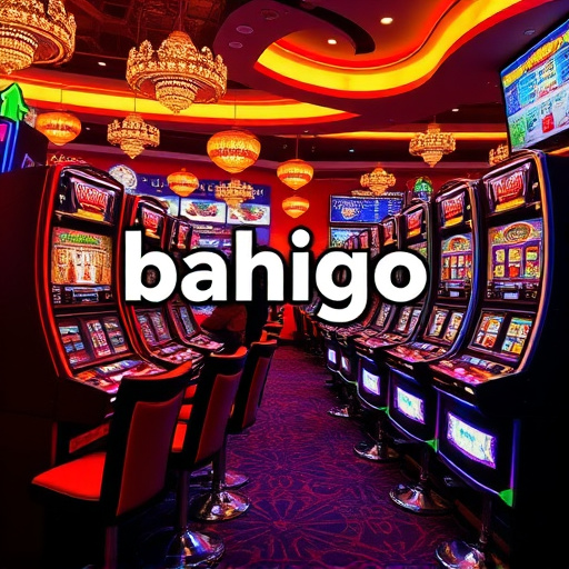 bahigo